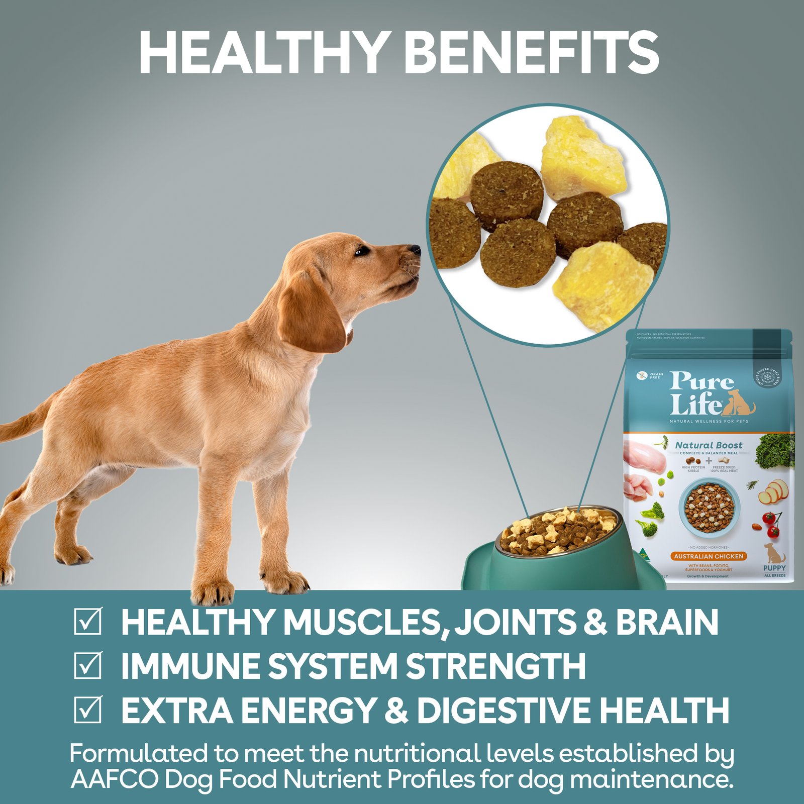 Australian Chicken for Puppies - Image 5