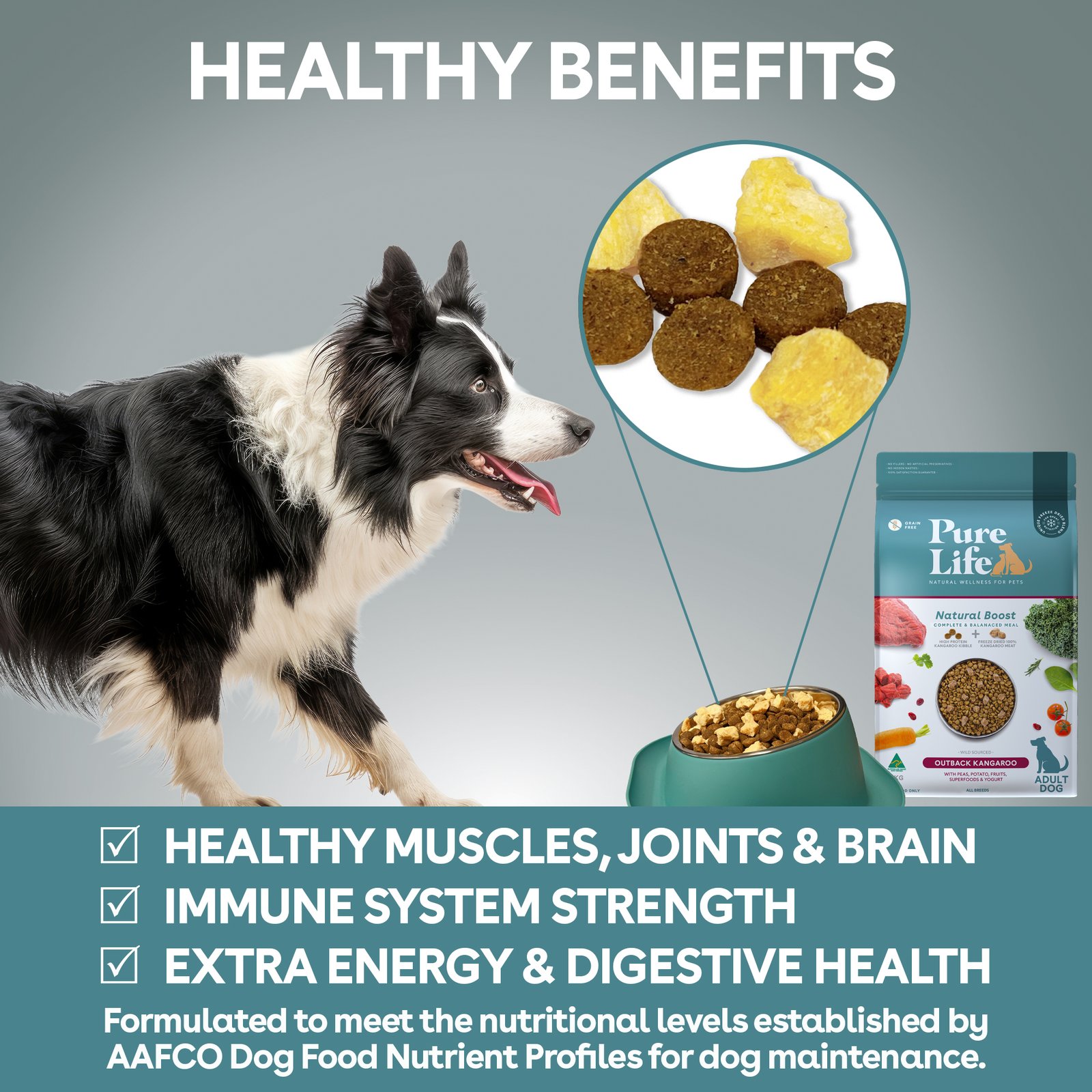 Outback Kangaroo for Adult Dogs - Image 5
