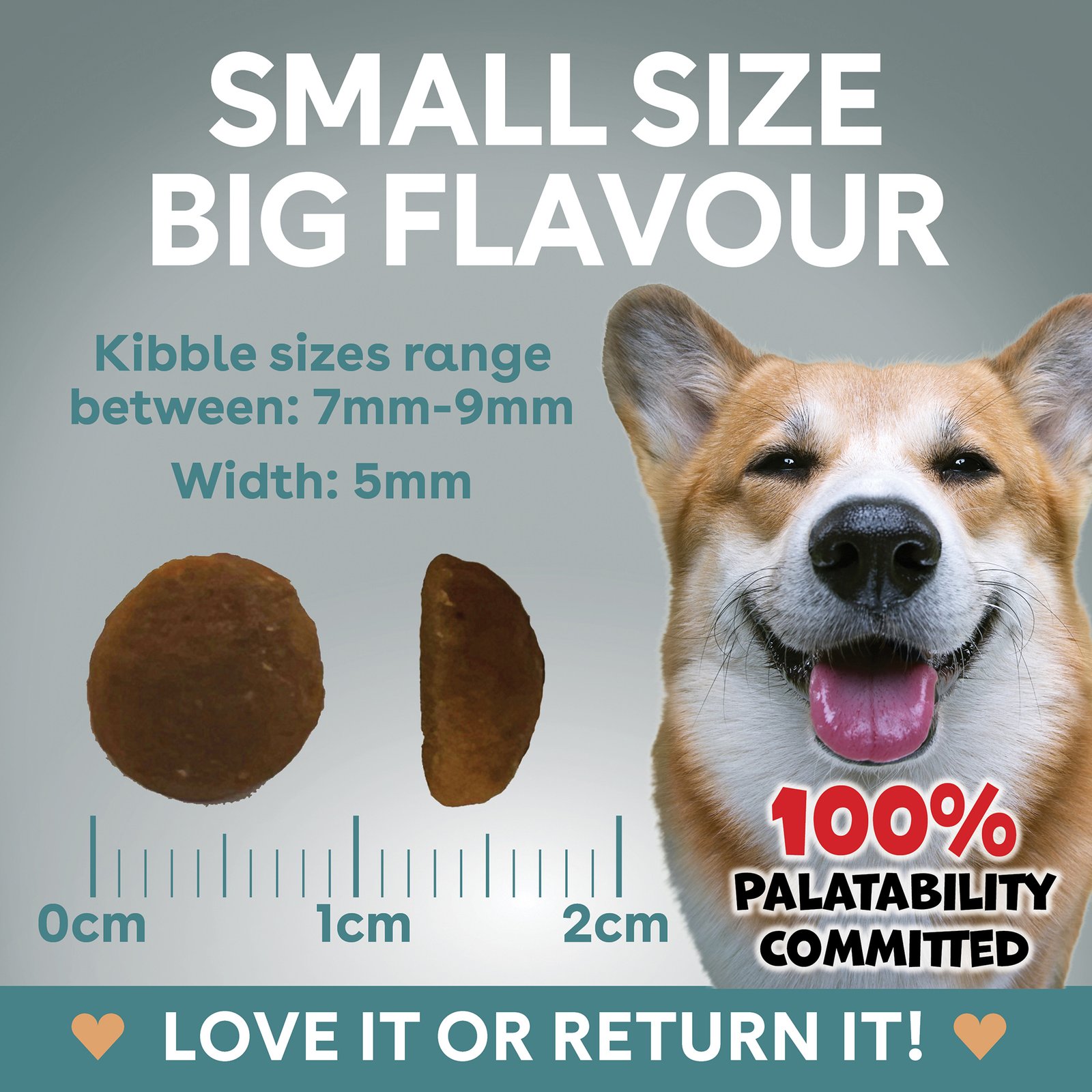 Outback Kangaroo for Adult Dogs - Image 8