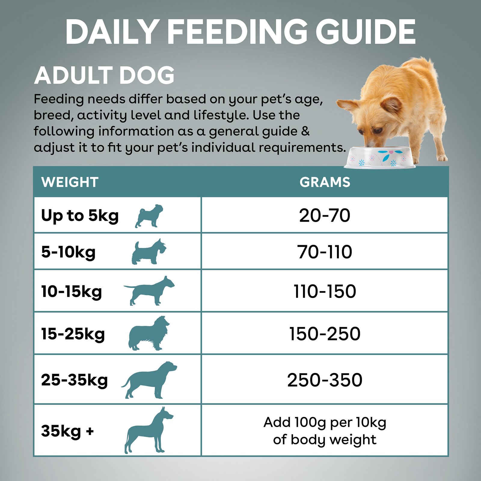 Outback Kangaroo for Adult Dogs - Image 10