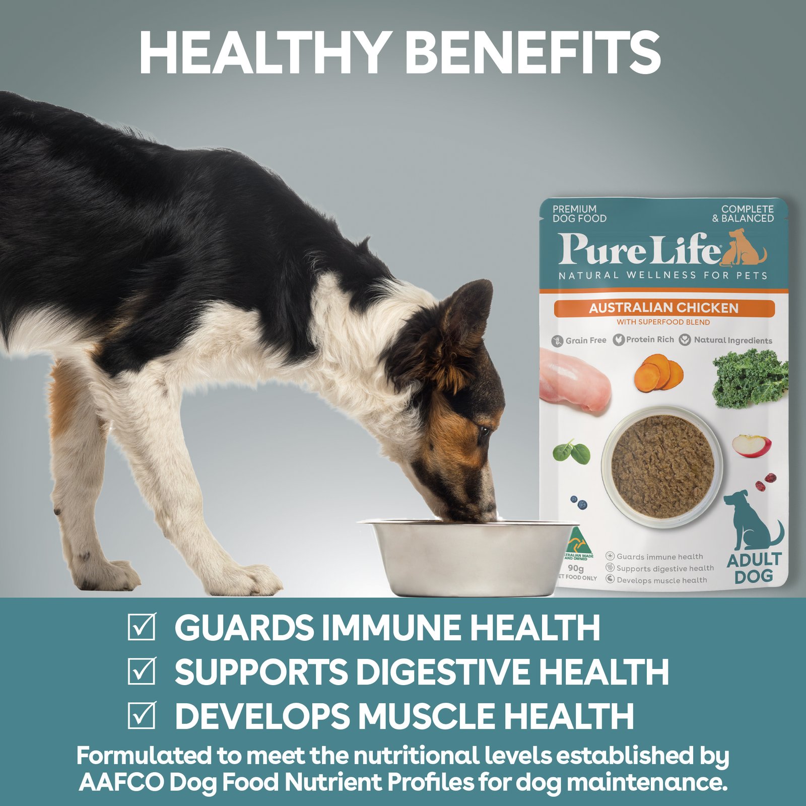 Australia Chicken Pate for Adult Dogs - Image 4